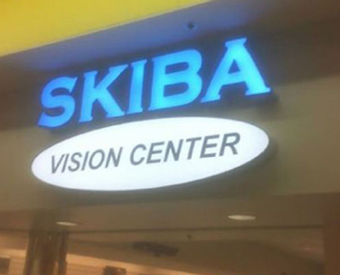 Skiba Vision